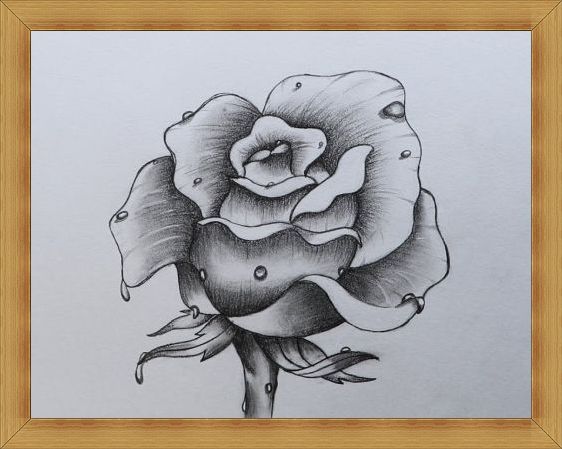Gambar Sketsa Bunga Indah, Mulai dari Mawar, Melati, Anggrek, dan