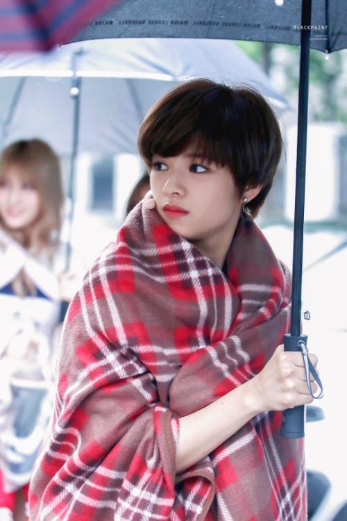 Foto Jeongyeon 7